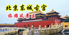 大鸡巴操大逼的视频呦中国北京-东城古宫旅游风景区